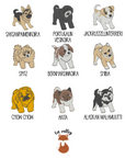 Brodeerattu puuvillapyyhe lemmikki